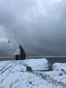 ノルウェーからのおたより の投稿